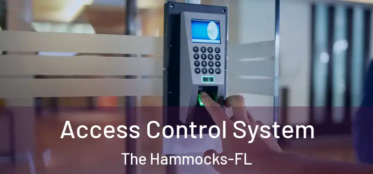 Access Control System The Hammocks-FL