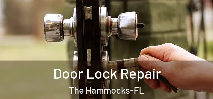 Door Lock Repair The Hammocks-FL