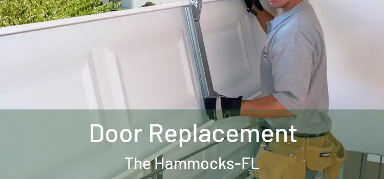  Door Replacement The Hammocks-FL