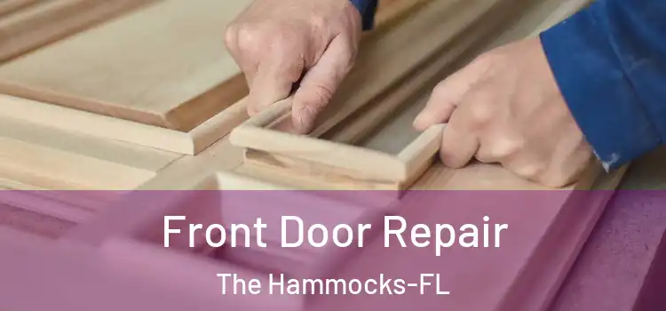 Front Door Repair The Hammocks-FL