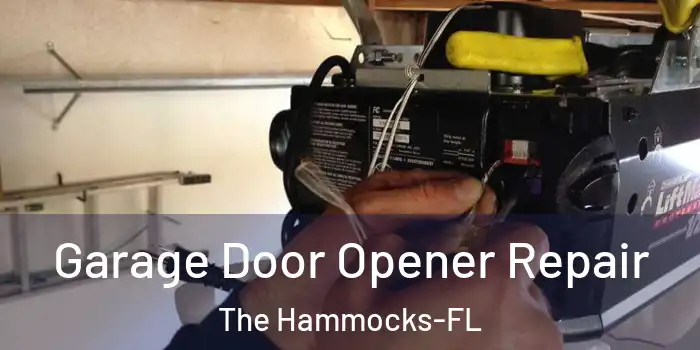 Garage Door Opener Repair The Hammocks-FL