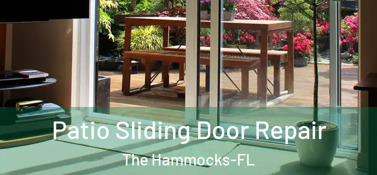  Patio Sliding Door Repair The Hammocks-FL