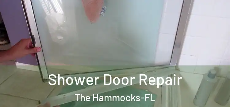  Shower Door Repair The Hammocks-FL