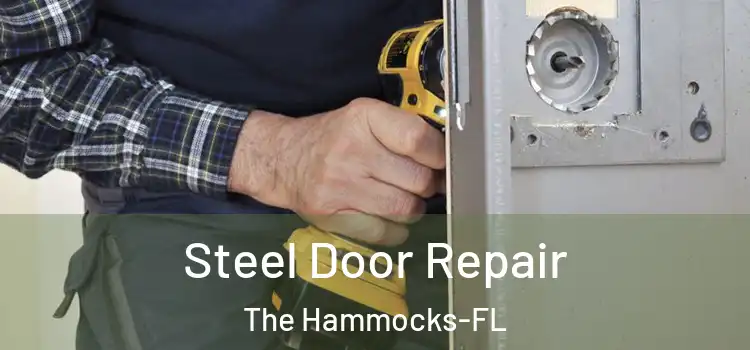  Steel Door Repair The Hammocks-FL